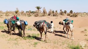 Welcome  at our Farm project Near Tagounit