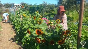 Etsbalished permaculture farm needs help