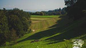 Our vilage