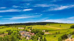Ferme biologique dans le cantal : vaches laitières, vente directe de farine, viande, oeufs, paille..
