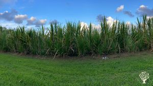 Farm-to-table cafe and community gathering place near Hilo