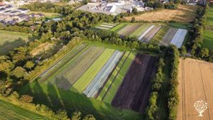 Bio, Demeter, Community Supported Agriculture small farm close to Flensburg
