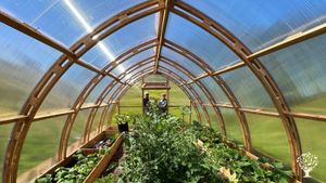 Scottish Highland Croft with organic growing tunnel