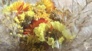Production de fleurs, potager, chevaux