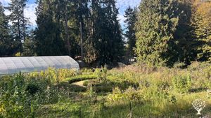 Herbal Tea & Agroforestry + Social Permaculture