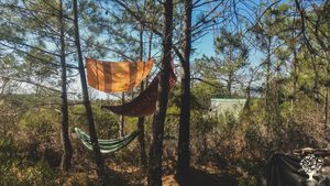 Sustainable project in the forest near the ocean