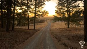 Driveway Entrance to Farm