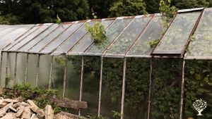Small family farm in south Czechia