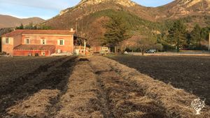 Ferme maraîchère biologique certifiée dans les baronnies provençales