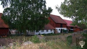 Smallholding, Family farm