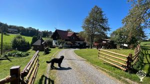 Landwirtschaftlicher Alpakazuchthof