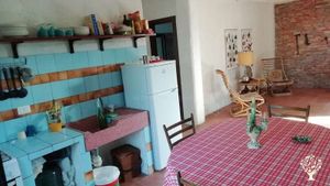 Coltiviamo limoni, arance tardive ed ulivi da olio, secondo principi di agroecologia e permacultura