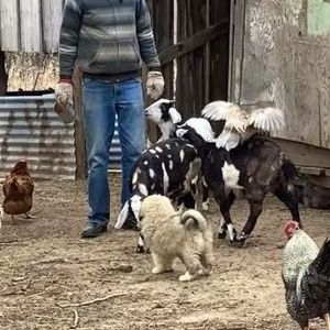 Neva (Paula) and Tobie