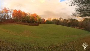 New small farm in beautiful western North Carolina