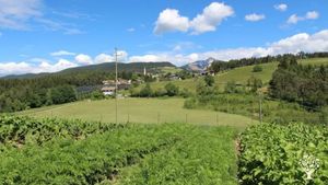 Organig Permaculture Farm