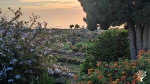 SITO IN PERMACULTURA, con focus in orticoltura e agroforestazione