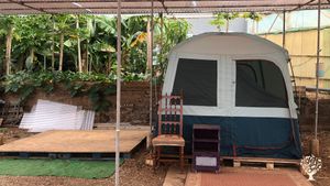 Ferme écologiques d'arbres fruitiers et légumes