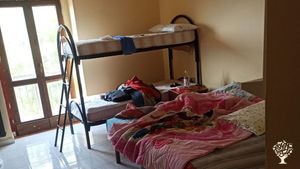 Azienda agricola biologica dal 1995, situata sulle verdeggianti colline della provincia di Avellino