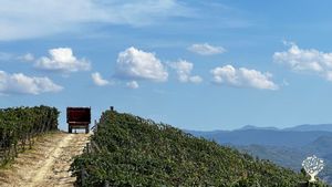 Azienda vitivinicola biodinamica