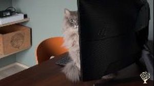 One of our pest control employees inspecting business stuff in the farm office