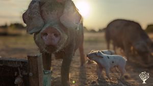 Ferme biologique certifiée AB