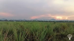 The beauty of the mountains near our farm.. 