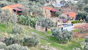 Organik  zeytinyağ üretimi ,sağlıklı yaşam konaklama, sağlıklı beslenme, sürdürülebilir yaşam