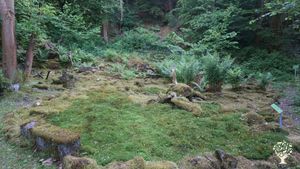 Museum with large outdoor area (nature experience field) & Family home and garden - rural