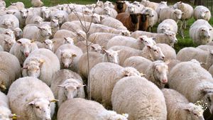 Agritourism Destination