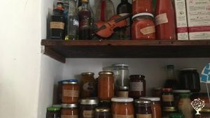 Fattoria familiare in fervente transizione ecologica, ispirati alla permacultura