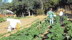 Diverse family farm in foothills of Sierra Nevada