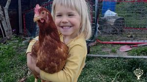 Azienda agricola di piccoli frutti