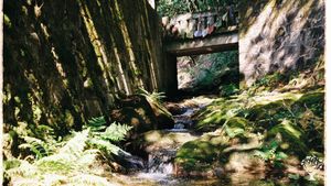 A nature-based space founded on sustainable and regenerative principles.
