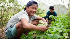 Be A Part of Stairway Foundation’s Organic Farm in Puerto Galera, Oriental Mindoro, The Philippines