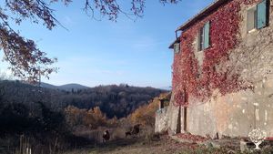 Libera fattoria di montagna