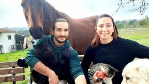 Azienda agricola biologica nel cuore delle Marche