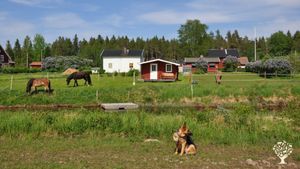 On the farm we have horses and an old nice dog. 
A little stream is floating close to the sauna. 