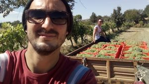 Azienda agricola biologica nel cuore delle Marche