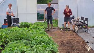 Organic Fruits et Vegetables . Transformation et Conserves