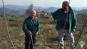 Fattoria di famiglia