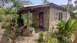 Ferme bio permaculture à kpélé Atimé Bato