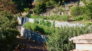 Jardins productifs en permaculture,  agrumes, noisetiers et autres arbres fruitiers  + Gîtes