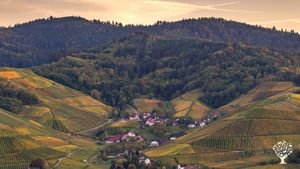 Ressourcen Autarkes Weingut mit Wald und Wiesen in der Vorbergzone des Schwarzwalds