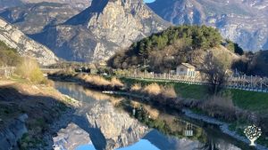 Funghi shiitake e altri prodotti coltivati con metodi agroforestali e trasformati artigianalmente