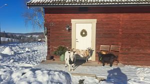 Cozy family homestead in small village close to Hedemora town