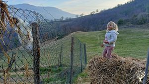 Azienda agricola di piccoli frutti