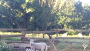 Ferme de concept plein air en Bretagne sud