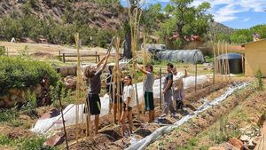 Preparing the garden 