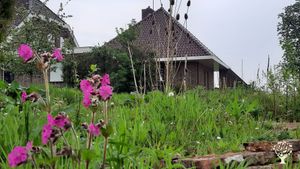 Voedselbos in aanleg, combinatieteelt van (medicinale) kruiden, fruit en groente. Agroforestry