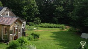 Small homestead with chickens, a large vegetable and herb garden, berries, flowers, fruit and more